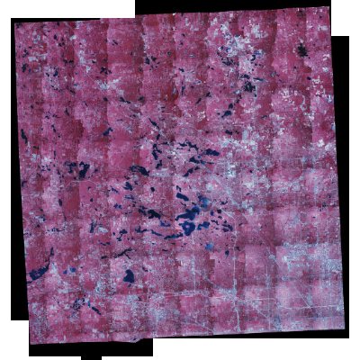 Export Image
